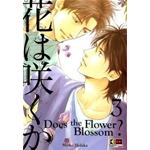 Does the Flower Blossom? n° 03