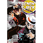 Demon Slayer - Kimetsu no Yaiba n° 02