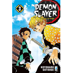 Demon Slayer - Kimetsu no Yaiba n° 03