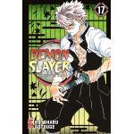 Demon Slayer - Kimetsu no Yaiba n° 17 