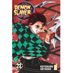Demon Slayer - Kimetsu no Yaiba n° 23 VARIANT COVER EDITION