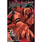 Jujutsu Kaisen – Sorcery Fight n° 25 